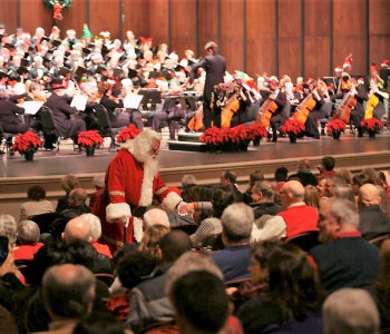 SONY DSC
